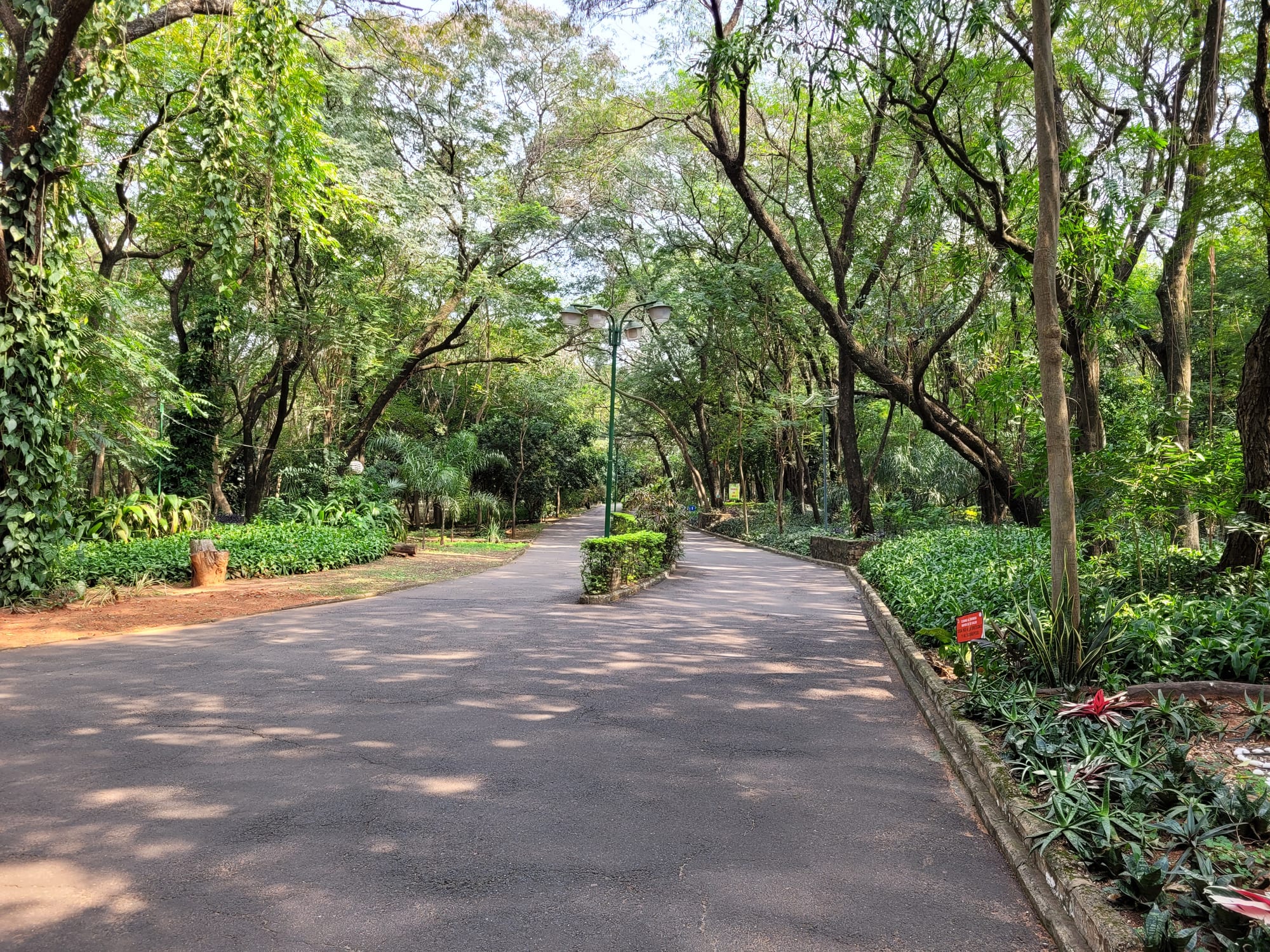 Parque de la Salud 现场照片 4